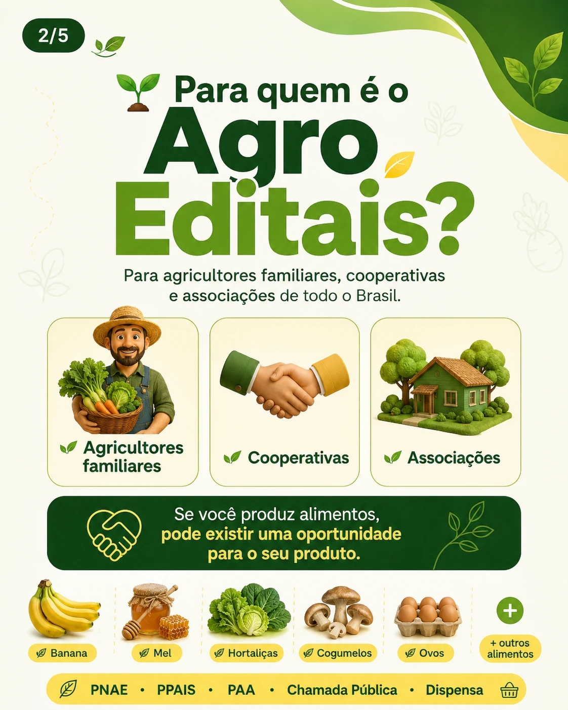 Produtor rural e oportunidades de vendas públicas